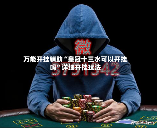 万能开挂辅助“皇冠十三水可以开挂吗”详细开挂玩法-第3张图片