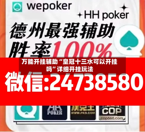万能开挂辅助“皇冠十三水可以开挂吗”详细开挂玩法-第1张图片