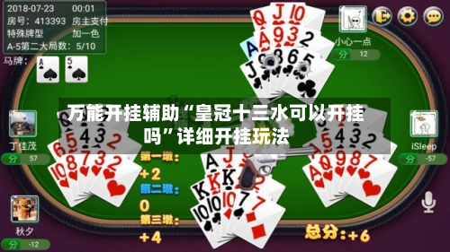 万能开挂辅助“皇冠十三水可以开挂吗”详细开挂玩法-第2张图片