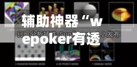辅助神器“wepoker有透视挂(透视)”详细辅助透视-第3张图片
