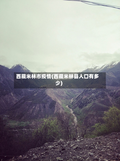 西藏米林市疫情(西藏米林县人口有多少)-第1张图片