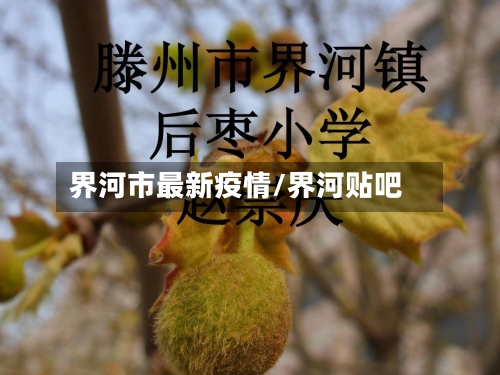 界河市最新疫情/界河贴吧-第3张图片