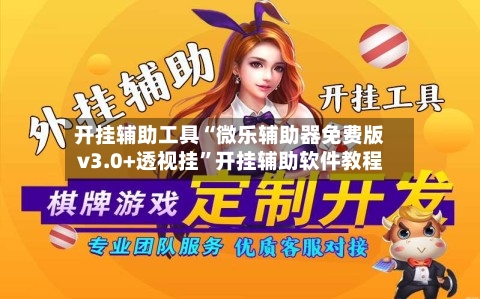 开挂辅助工具“微乐辅助器免费版v3.0+透视挂	”开挂辅助软件教程-第1张图片