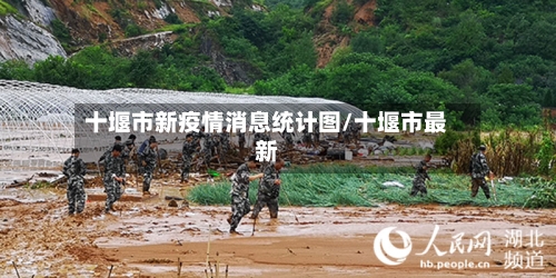 十堰市新疫情消息统计图/十堰市最新-第1张图片