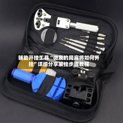 辅助开挂工具“微友约局麻将如何开挂”详细分享装挂步骤教程-第1张图片