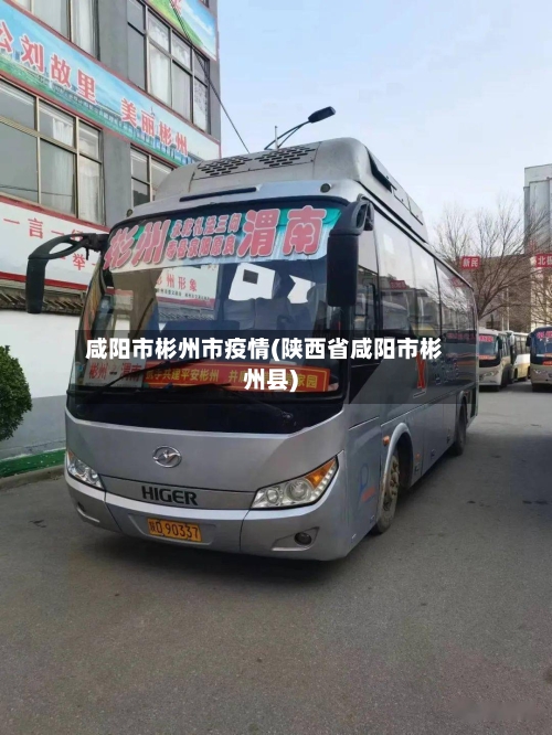 咸阳市彬州市疫情(陕西省咸阳市彬州县)-第1张图片
