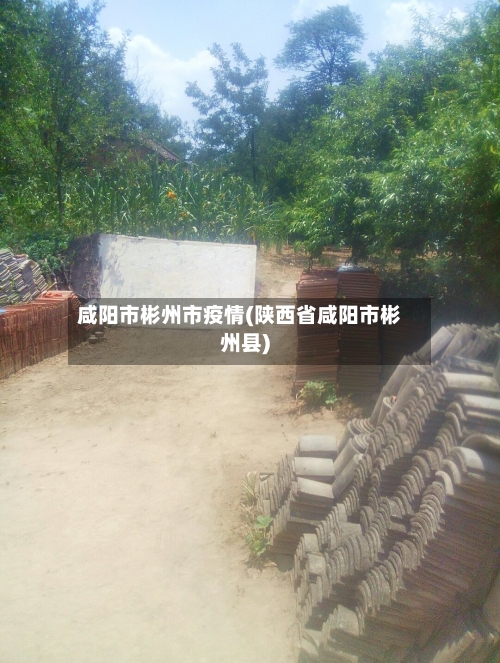 咸阳市彬州市疫情(陕西省咸阳市彬州县)-第2张图片