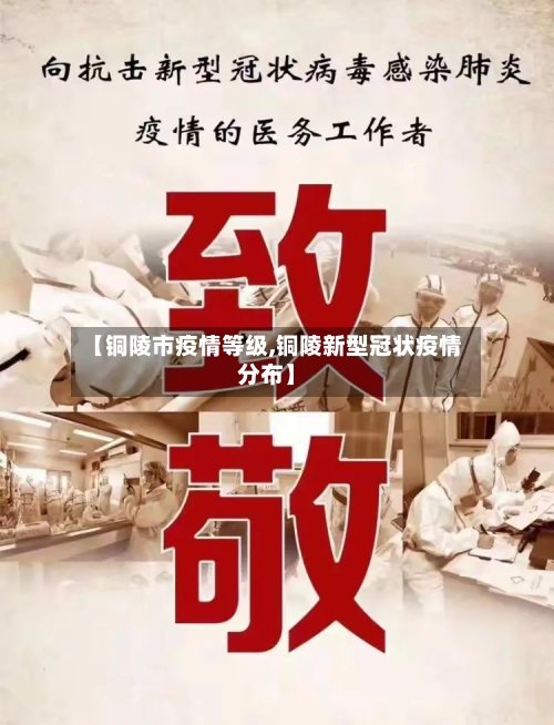【铜陵市疫情等级,铜陵新型冠状疫情分布】-第2张图片