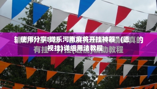 使用分享!微乐河南麻将开挂神器”(透视挂)详细用法教程-第2张图片