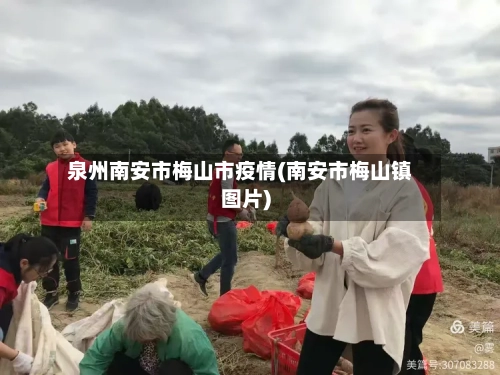 泉州南安市梅山市疫情(南安市梅山镇图片)-第1张图片