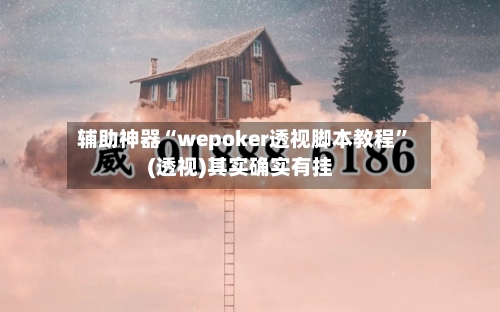 辅助神器“wepoker透视脚本教程	”(透视)其实确实有挂-第2张图片