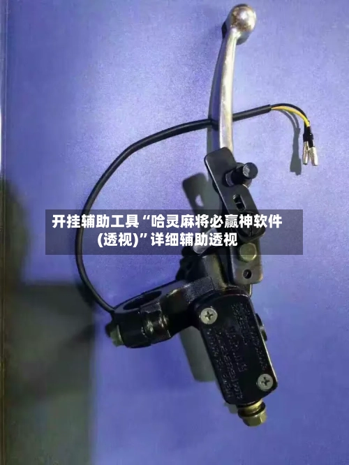 开挂辅助工具“哈灵麻将必赢神软件(透视)”详细辅助透视-第2张图片
