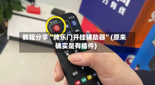 教程分享“牌乐门开挂辅助器	”(原来确实是有插件)-第1张图片