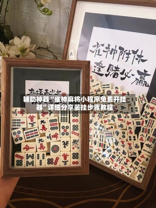 辅助神器“雀神麻将小程序免费开挂器	”详细分享装挂步骤教程-第2张图片