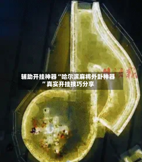 辅助开挂神器“哈尔滨麻将外卦神器”真实开挂技巧分享-第1张图片