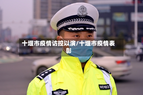十堰市疫情访控以演/十堰市疫情表彰-第1张图片