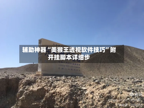 辅助神器“美猴王透视软件技巧”附开挂脚本详细步-第2张图片