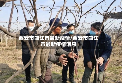 西安市曲江市最新疫情/西安市曲江市最新疫情消息-第2张图片