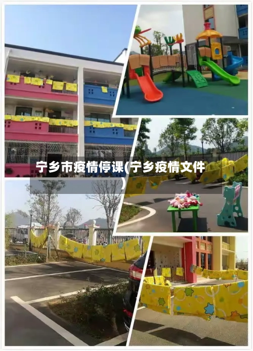 宁乡市疫情停课(宁乡疫情文件)-第3张图片