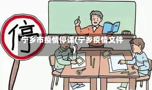宁乡市疫情停课(宁乡疫情文件)-第2张图片