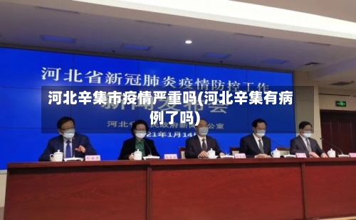 河北辛集市疫情严重吗(河北辛集有病例了吗)-第2张图片