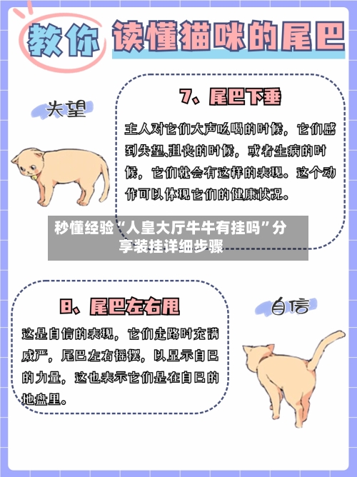 秒懂经验“人皇大厅牛牛有挂吗”分享装挂详细步骤-第1张图片