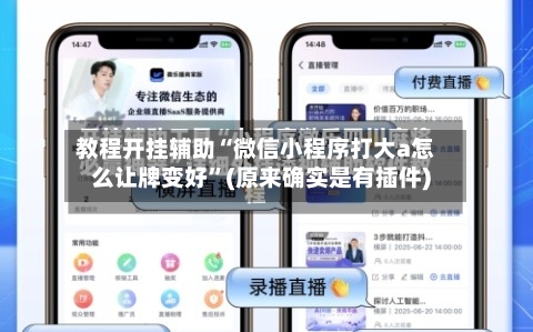 教程开挂辅助“微信小程序打大a怎么让牌变好”(原来确实是有插件)-第1张图片