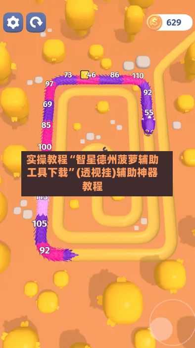 实操教程“智星德州菠萝辅助工具下载”(透视挂)辅助神器教程-第3张图片