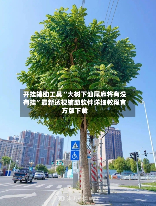 开挂辅助工具“大树下汕尾麻将有没有挂	”最新透视辅助软件详细教程官方版下载-第1张图片