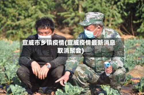 宣威市乡镇疫情(宣威疫情最新消息取消聚会)-第3张图片