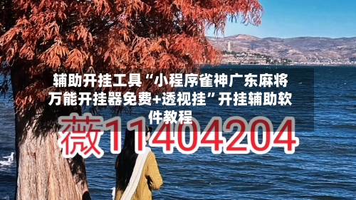 辅助开挂工具“小程序雀神广东麻将万能开挂器免费+透视挂	”开挂辅助软件教程-第2张图片