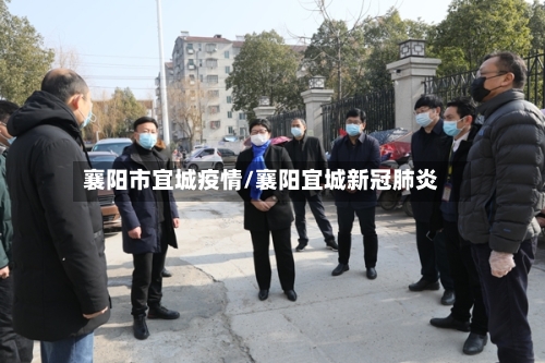 襄阳市宜城疫情/襄阳宜城新冠肺炎-第1张图片