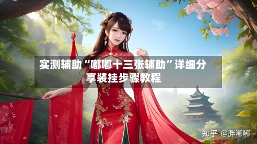 实测辅助“嘟嘟十三张辅助”详细分享装挂步骤教程-第1张图片