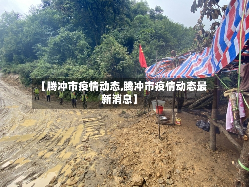 【腾冲市疫情动态,腾冲市疫情动态最新消息】-第2张图片