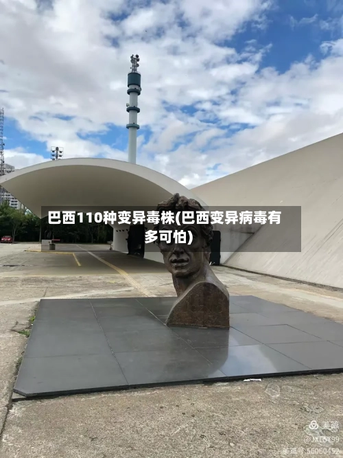 巴西110种变异毒株(巴西变异病毒有多可怕)-第3张图片