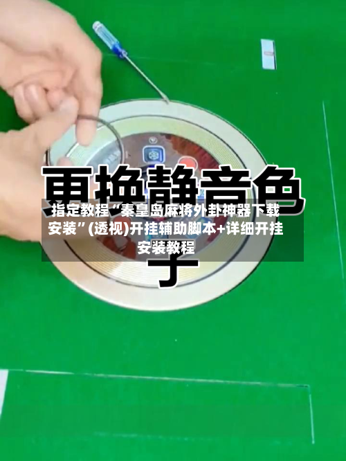 指定教程“秦皇岛麻将外卦神器下载安装”(透视)开挂辅助脚本+详细开挂安装教程-第1张图片