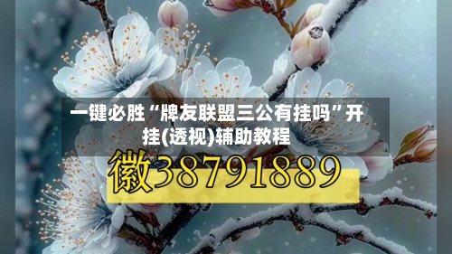 一键必胜“牌友联盟三公有挂吗”开挂(透视)辅助教程-第1张图片