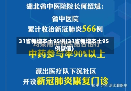 31省新增本土95例(31省新增本土95例微信)-第2张图片