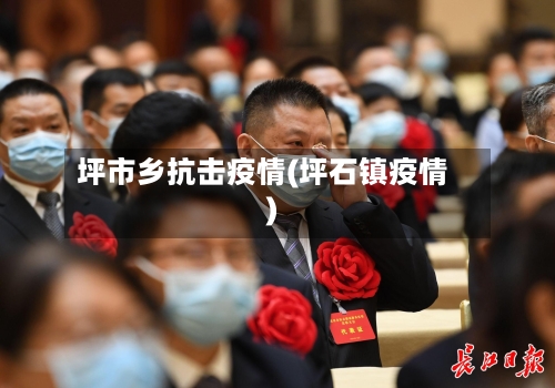 坪市乡抗击疫情(坪石镇疫情)-第3张图片