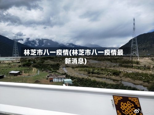 林芝市八一疫情(林芝市八一疫情最新消息)-第1张图片