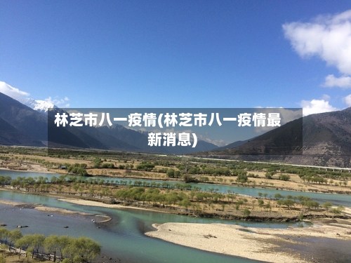 林芝市八一疫情(林芝市八一疫情最新消息)-第3张图片