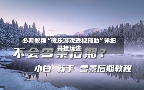 必看教程“微乐游戏透视辅助”详细开挂玩法-第1张图片