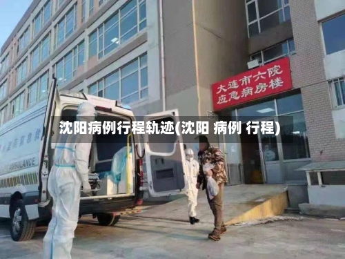 沈阳病例行程轨迹(沈阳 病例 行程)-第3张图片