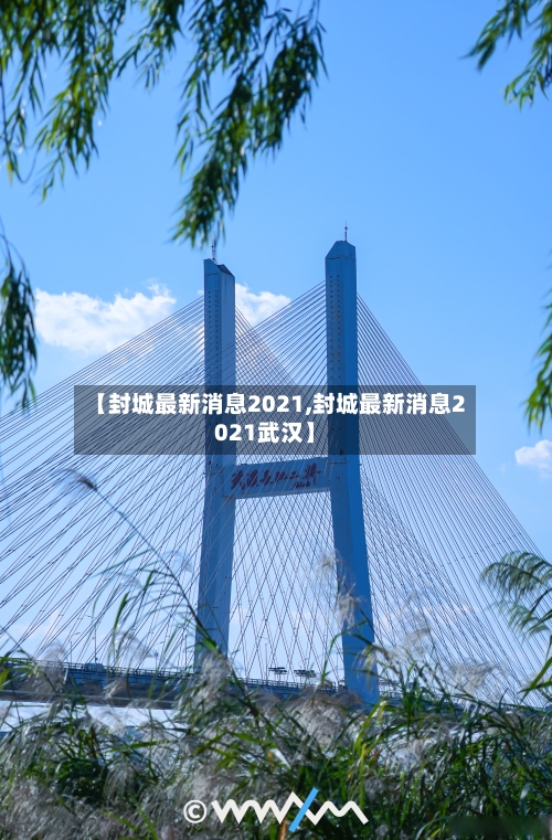 【封城最新消息2021,封城最新消息2021武汉】-第2张图片