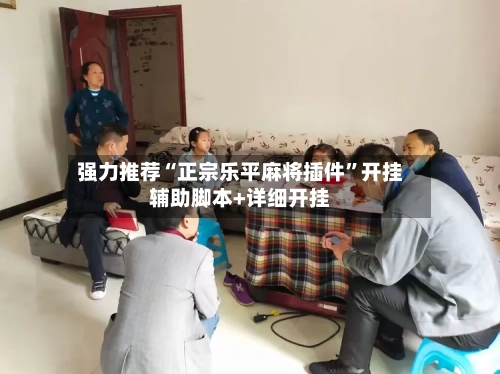 强力推荐“正宗乐平麻将插件	”开挂辅助脚本+详细开挂-第2张图片