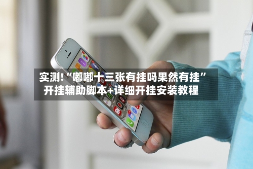 实测!“嘟嘟十三张有挂吗果然有挂”开挂辅助脚本+详细开挂安装教程-第3张图片
