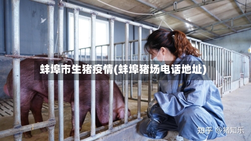 蚌埠市生猪疫情(蚌埠猪场电话地址)-第2张图片