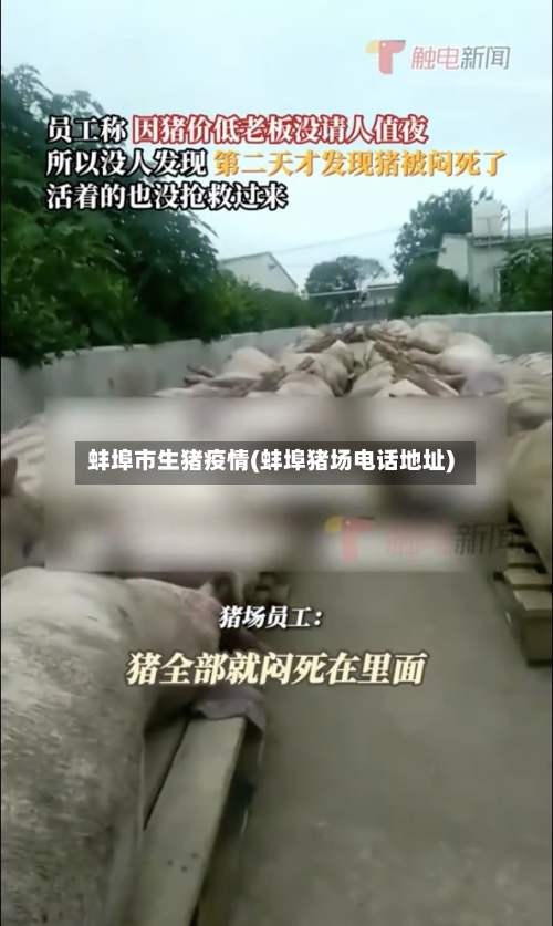 蚌埠市生猪疫情(蚌埠猪场电话地址)-第1张图片
