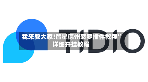 我来教大家!智星德州菠萝插件教程”详细开挂教程-第1张图片