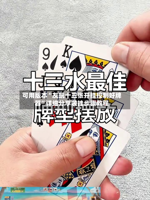 可用版本“友玩十三张开挂控制好牌器	”详细分享装挂步骤教程-第1张图片